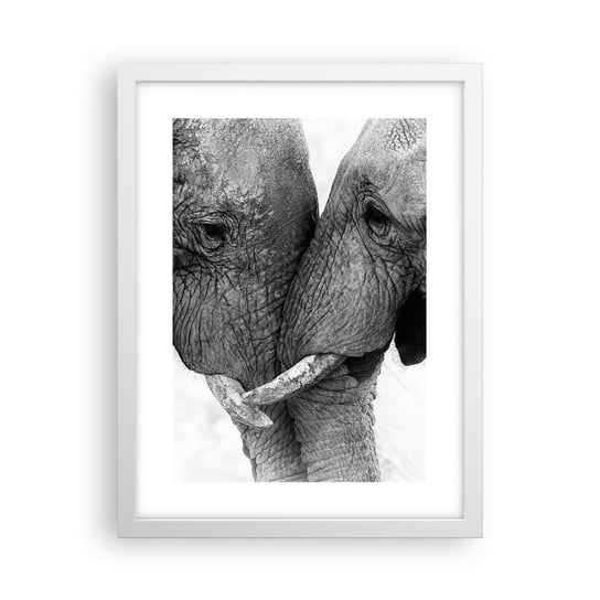 Obraz - Plakat - Serdeczne wyznanie - 30x40cm - Słoń Zwierzęta Afryka - Foto Plakaty na ścianę w ramie białej - Plakat do Salonu Sypialni ARTTOR ARTTOR