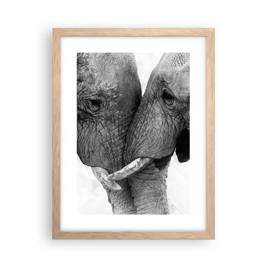 Obraz - Plakat - Serdeczne wyznanie - 30x40cm - Słoń Zwierzęta Afryka - Foto Plakaty na ścianę w ramie jasny dąb - Plakat do Salonu Sypialni ARTTOR ARTTOR