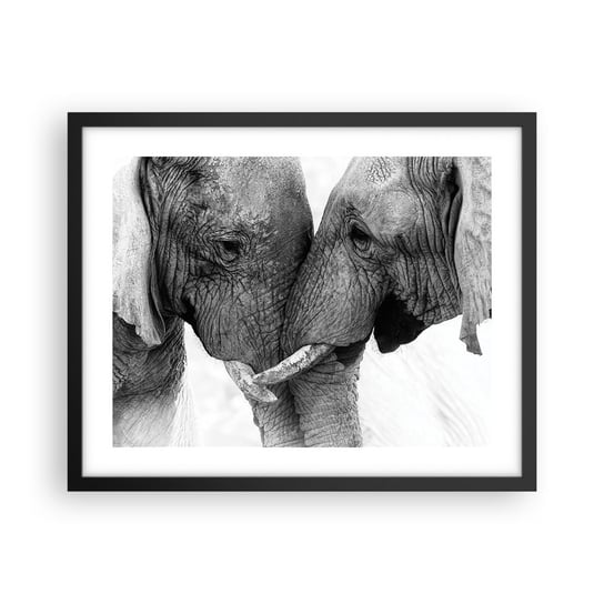Obraz - Plakat - Serdeczne wyznanie - 50x40cm - Słoń Zwierzęta Afryka - Foto Plakaty w ramie koloru czarnego do Salonu Sypialni ARTTOR ARTTOR