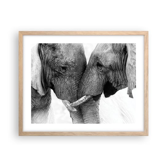 Obraz - Plakat - Serdeczne wyznanie - 50x40cm - Słoń Zwierzęta Afryka - Foto Plakaty w ramie koloru jasny dąb do Salonu Sypialni ARTTOR ARTTOR