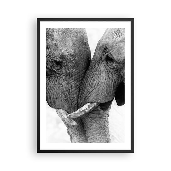 Obraz - Plakat - Serdeczne wyznanie - 50x70cm - Słoń Zwierzęta Afryka - Nowoczesny modny obraz Plakat czarna rama ARTTOR ARTTOR