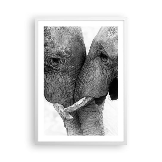 Obraz - Plakat - Serdeczne wyznanie - 50x70cm - Słoń Zwierzęta Afryka - Nowoczesny modny obraz Plakat rama biała ARTTOR ARTTOR