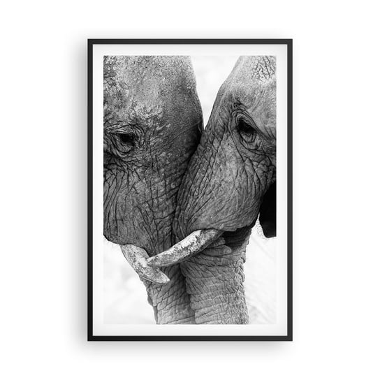 Obraz - Plakat - Serdeczne wyznanie - 61x91cm - Słoń Zwierzęta Afryka - Foto Plakaty na ścianę w czarnej ramie - Plakat do Salonu Sypialni ARTTOR ARTTOR