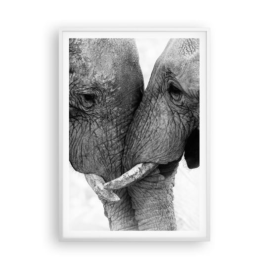 Obraz - Plakat - Serdeczne wyznanie - 70x100cm - Słoń Zwierzęta Afryka - Foto Plakaty w ramie koloru białego do Salonu Sypialni ARTTOR ARTTOR