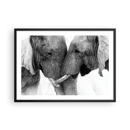 Obraz - Plakat - Serdeczne wyznanie - 70x50cm - Słoń Zwierzęta Afryka - Nowoczesny modny obraz Plakat czarna rama ARTTOR ARTTOR