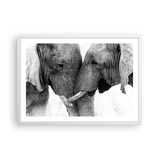 Obraz - Plakat - Serdeczne wyznanie - 70x50cm - Słoń Zwierzęta Afryka - Nowoczesny modny obraz Plakat rama biała ARTTOR ARTTOR