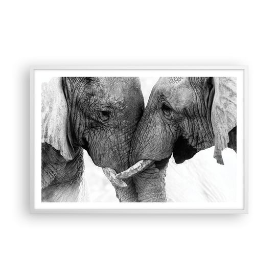Obraz - Plakat - Serdeczne wyznanie - 91x61cm - Słoń Zwierzęta Afryka - Foto Plakaty na ścianę w ramie białej - Plakat do Salonu Sypialni ARTTOR ARTTOR