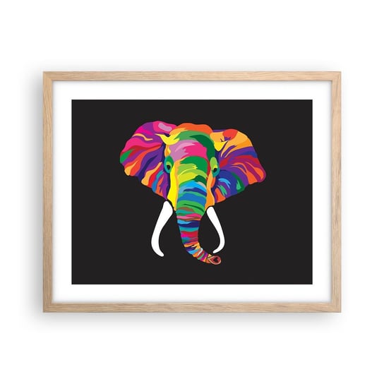 Obraz - Plakat - Słoń, który kochał kąpać się w tęczy - 50x40cm - Zwierzęta Słoń Kolorowy Obraz - Foto Plakaty w ramie koloru jasny dąb do Salonu Sypialni ARTTOR ARTTOR