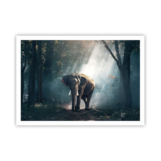 Obraz - Plakat - Spokojna przechadzka - 100x70cm - Zwierzęta Słoń Dżungla - Foto Plakaty bez ramy na ścianę do Salonu Sypialni ARTTOR ARTTOR