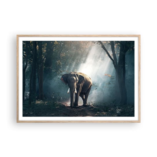 Obraz - Plakat - Spokojna przechadzka - 100x70cm - Zwierzęta Słoń Dżungla - Foto Plakaty w ramie koloru jasny dąb do Salonu Sypialni ARTTOR ARTTOR