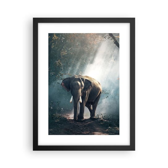 Obraz - Plakat - Spokojna przechadzka - 30x40cm - Zwierzęta Słoń Dżungla - Foto Plakaty na ścianę w czarnej ramie - Plakat do Salonu Sypialni ARTTOR ARTTOR