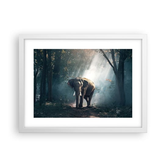 Obraz - Plakat - Spokojna przechadzka - 40x30cm - Zwierzęta Słoń Dżungla - Foto Plakaty na ścianę w ramie białej - Plakat do Salonu Sypialni ARTTOR ARTTOR