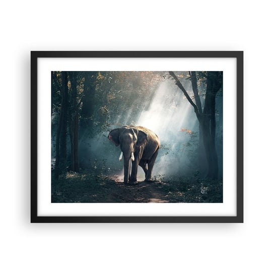Obraz - Plakat - Spokojna przechadzka - 50x40cm - Zwierzęta Słoń Dżungla - Foto Plakaty w ramie koloru czarnego do Salonu Sypialni ARTTOR ARTTOR