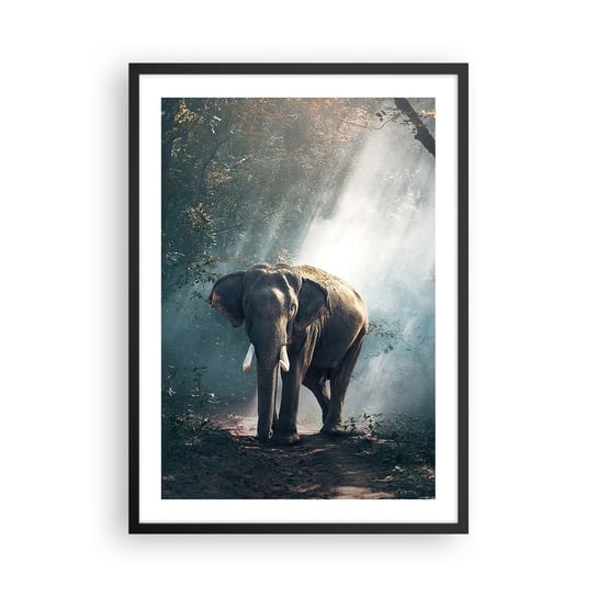 Obraz - Plakat - Spokojna przechadzka - 50x70cm - Zwierzęta Słoń Dżungla - Nowoczesny modny obraz Plakat czarna rama ARTTOR ARTTOR