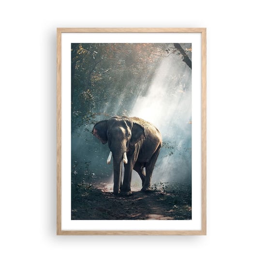 Obraz - Plakat - Spokojna przechadzka - 50x70cm - Zwierzęta Słoń Dżungla - Nowoczesny modny obraz Plakat rama jasny dąb ARTTOR ARTTOR