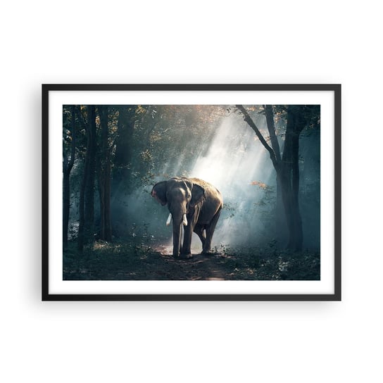 Obraz - Plakat - Spokojna przechadzka - 70x50cm - Zwierzęta Słoń Dżungla - Nowoczesny modny obraz Plakat czarna rama ARTTOR ARTTOR