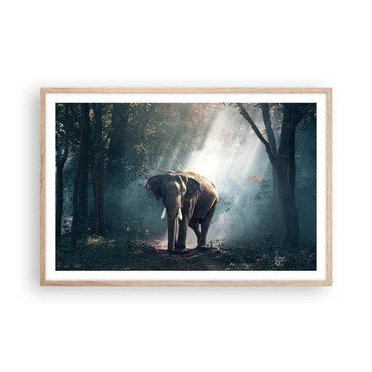 Obraz - Plakat - Spokojna przechadzka - 91x61cm - Zwierzęta Słoń Dżungla - Foto Plakaty na ścianę w ramie jasny dąb - Plakat do Salonu Sypialni ARTTOR ARTTOR