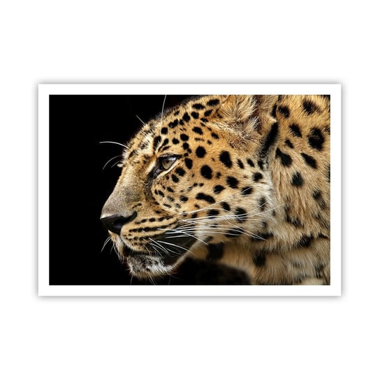 Obraz - Plakat - Spokojny, skupiony, gotowy - 100x70cm - Zwierzęta Lampart Afryka - Foto Plakaty bez ramy na ścianę do Salonu Sypialni ARTTOR ARTTOR