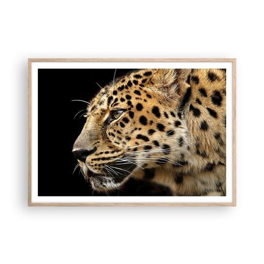 Obraz - Plakat - Spokojny, skupiony, gotowy - 100x70cm - Zwierzęta Lampart Afryka - Foto Plakaty w ramie koloru jasny dąb do Salonu Sypialni ARTTOR ARTTOR