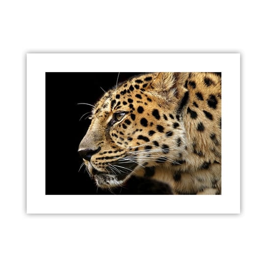 Obraz - Plakat - Spokojny, skupiony, gotowy - 40x30cm - Zwierzęta Lampart Afryka - Foto Plakaty na ścianę bez ramy - Plakat do Salonu Sypialni ARTTOR ARTTOR