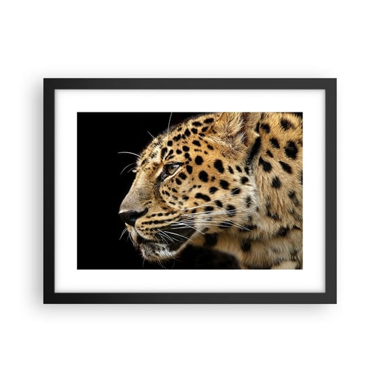 Obraz - Plakat - Spokojny, skupiony, gotowy - 40x30cm - Zwierzęta Lampart Afryka - Foto Plakaty na ścianę w czarnej ramie - Plakat do Salonu Sypialni ARTTOR ARTTOR