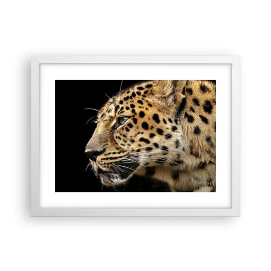 Obraz - Plakat - Spokojny, skupiony, gotowy - 40x30cm - Zwierzęta Lampart Afryka - Foto Plakaty na ścianę w ramie białej - Plakat do Salonu Sypialni ARTTOR ARTTOR