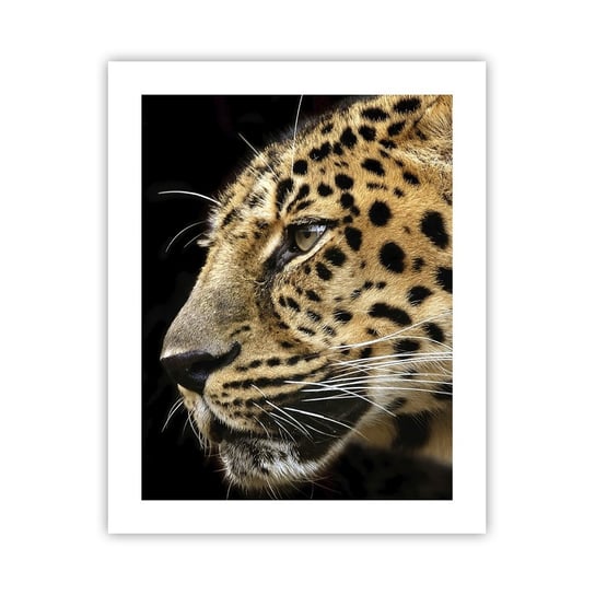 Obraz - Plakat - Spokojny, skupiony, gotowy - 40x50cm - Zwierzęta Lampart Afryka - Foto Plakaty bez ramy do Salonu Sypialni ARTTOR ARTTOR