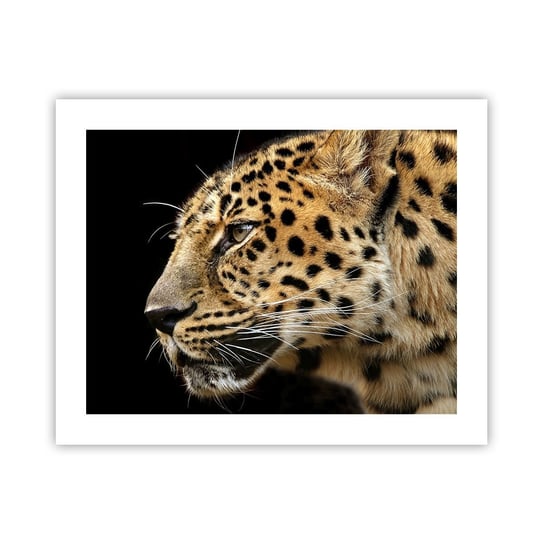 Obraz - Plakat - Spokojny, skupiony, gotowy - 50x40cm - Zwierzęta Lampart Afryka - Foto Plakaty bez ramy do Salonu Sypialni ARTTOR ARTTOR