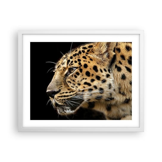 Obraz - Plakat - Spokojny, skupiony, gotowy - 50x40cm - Zwierzęta Lampart Afryka - Foto Plakaty w ramie koloru białego do Salonu Sypialni ARTTOR ARTTOR