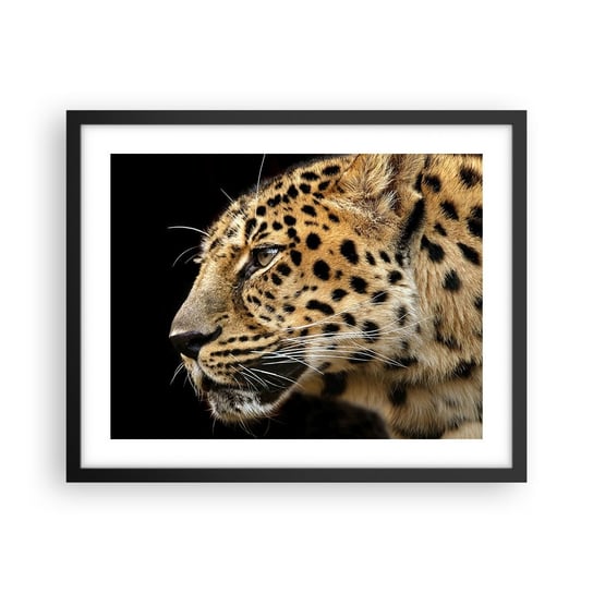 Obraz - Plakat - Spokojny, skupiony, gotowy - 50x40cm - Zwierzęta Lampart Afryka - Foto Plakaty w ramie koloru czarnego do Salonu Sypialni ARTTOR ARTTOR