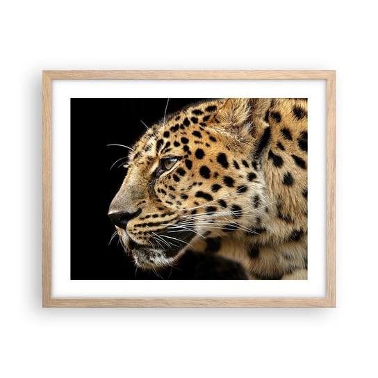 Obraz - Plakat - Spokojny, skupiony, gotowy - 50x40cm - Zwierzęta Lampart Afryka - Foto Plakaty w ramie koloru jasny dąb do Salonu Sypialni ARTTOR ARTTOR