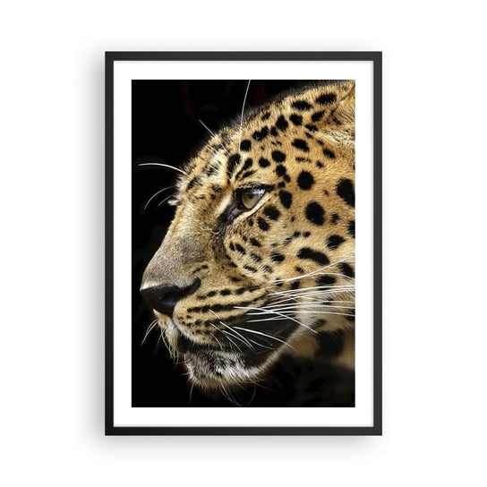 Obraz - Plakat - Spokojny, skupiony, gotowy - 50x70cm - Zwierzęta Lampart Afryka - Nowoczesny modny obraz Plakat czarna rama ARTTOR ARTTOR