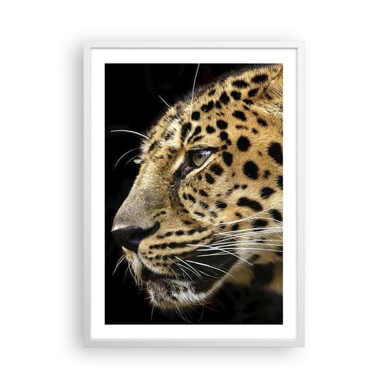 Obraz - Plakat - Spokojny, skupiony, gotowy - 50x70cm - Zwierzęta Lampart Afryka - Nowoczesny modny obraz Plakat rama biała ARTTOR ARTTOR