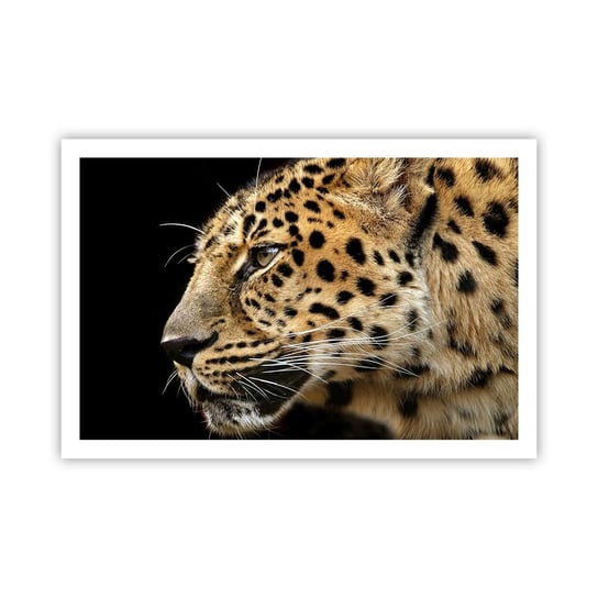 Obraz - Plakat - Spokojny, skupiony, gotowy - 91x61cm - Zwierzęta Lampart Afryka - Foto Plakaty na ścianę bez ramy - Plakat do Salonu Sypialni ARTTOR ARTTOR