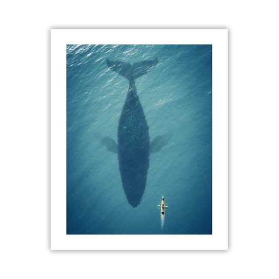 Obraz - Plakat - Spotkanie na oceanie - 40x50cm - Krajobraz Ocean Wieloryb - Foto Plakaty bez ramy do Salonu Sypialni ARTTOR ARTTOR