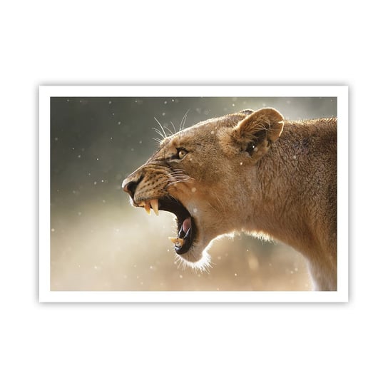 Obraz - Plakat - Spróbuj nie posłuchać - 100x70cm - Zwierzęta Lew Afryka - Foto Plakaty bez ramy na ścianę do Salonu Sypialni ARTTOR ARTTOR