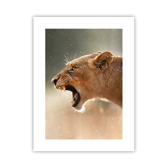 Obraz - Plakat - Spróbuj nie posłuchać - 30x40cm - Zwierzęta Lew Afryka - Foto Plakaty na ścianę bez ramy - Plakat do Salonu Sypialni ARTTOR ARTTOR