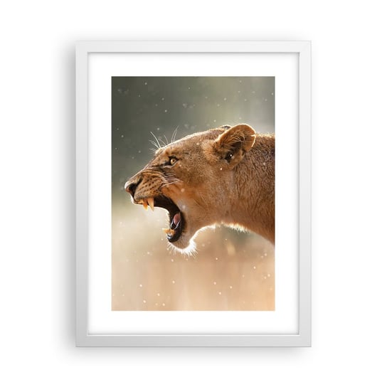 Obraz - Plakat - Spróbuj nie posłuchać - 30x40cm - Zwierzęta Lew Afryka - Foto Plakaty na ścianę w ramie białej - Plakat do Salonu Sypialni ARTTOR ARTTOR