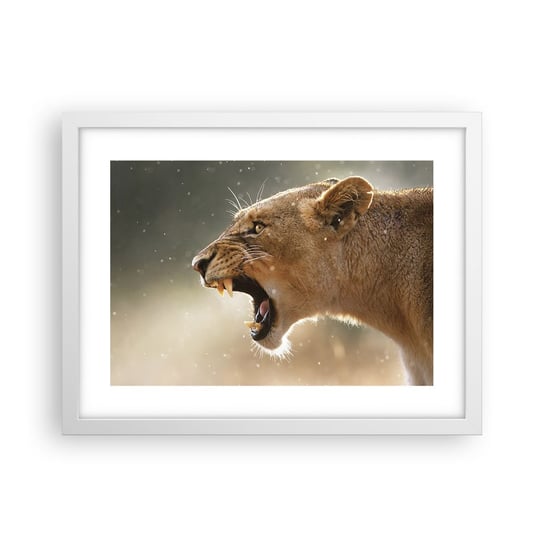 Obraz - Plakat - Spróbuj nie posłuchać - 40x30cm - Zwierzęta Lew Afryka - Foto Plakaty na ścianę w ramie białej - Plakat do Salonu Sypialni ARTTOR ARTTOR