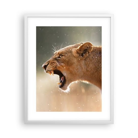 Obraz - Plakat - Spróbuj nie posłuchać - 40x50cm - Zwierzęta Lew Afryka - Foto Plakaty w ramie koloru białego do Salonu Sypialni ARTTOR ARTTOR