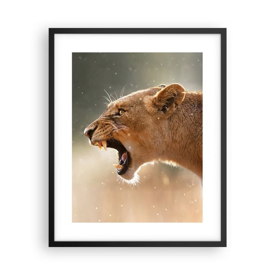 Obraz - Plakat - Spróbuj nie posłuchać - 40x50cm - Zwierzęta Lew Afryka - Foto Plakaty w ramie koloru czarnego do Salonu Sypialni ARTTOR ARTTOR