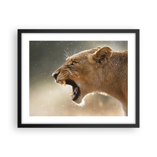 Obraz - Plakat - Spróbuj nie posłuchać - 50x40cm - Zwierzęta Lew Afryka - Foto Plakaty w ramie koloru czarnego do Salonu Sypialni ARTTOR ARTTOR