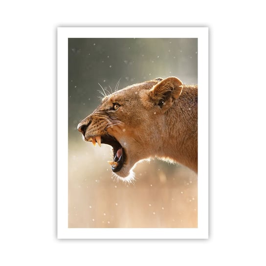 Obraz - Plakat - Spróbuj nie posłuchać - 50x70cm - Zwierzęta Lew Afryka - Nowoczesny modny obraz Plakat bez ramy do Salonu Sypialni ARTTOR ARTTOR