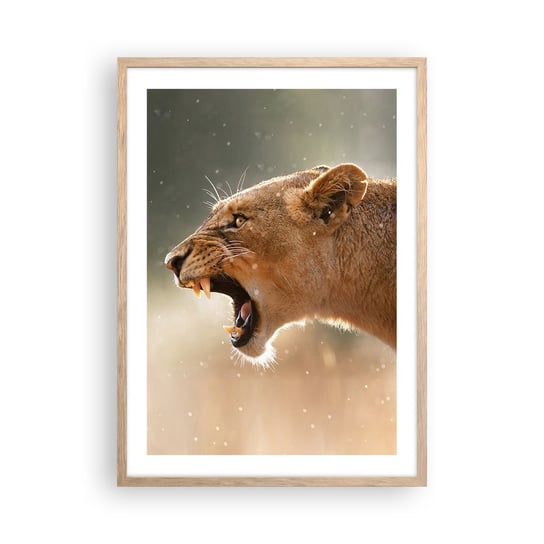 Obraz - Plakat - Spróbuj nie posłuchać - 50x70cm - Zwierzęta Lew Afryka - Nowoczesny modny obraz Plakat rama jasny dąb ARTTOR ARTTOR