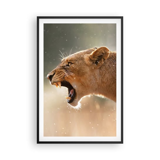 Obraz - Plakat - Spróbuj nie posłuchać - 61x91cm - Zwierzęta Lew Afryka - Foto Plakaty na ścianę w czarnej ramie - Plakat do Salonu Sypialni ARTTOR ARTTOR