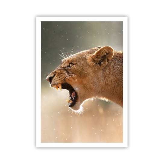 Obraz - Plakat - Spróbuj nie posłuchać - 70x100cm - Zwierzęta Lew Afryka - Foto Plakaty bez ramy na ścianę do Salonu Sypialni ARTTOR ARTTOR
