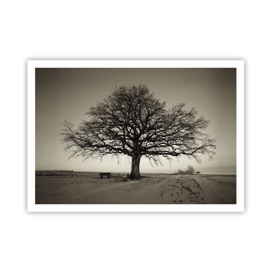 Obraz - Plakat - Stąd do wieczności - 100x70cm - Krajobraz Drzewo Natura - Foto Plakaty bez ramy na ścianę do Salonu Sypialni ARTTOR ARTTOR