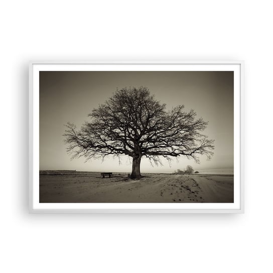 Obraz - Plakat - Stąd do wieczności - 100x70cm - Krajobraz Drzewo Natura - Foto Plakaty w ramie koloru białego do Salonu Sypialni ARTTOR ARTTOR