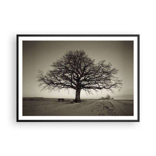 Obraz - Plakat - Stąd do wieczności - 100x70cm - Krajobraz Drzewo Natura - Foto Plakaty w ramie koloru czarnego do Salonu Sypialni ARTTOR ARTTOR