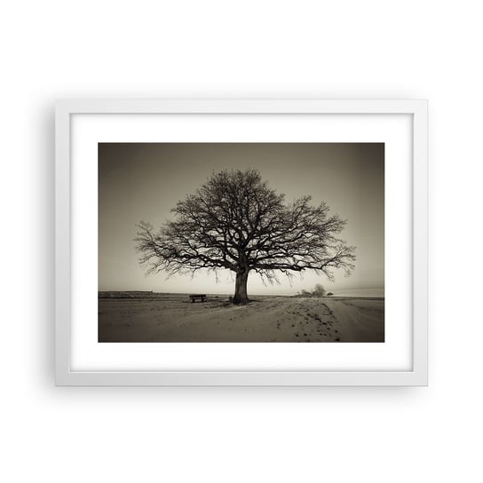 Obraz - Plakat - Stąd do wieczności - 40x30cm - Krajobraz Drzewo Natura - Foto Plakaty na ścianę w ramie białej - Plakat do Salonu Sypialni ARTTOR ARTTOR